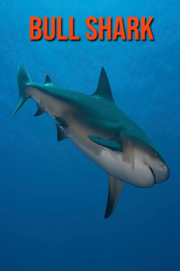 Bull Shark