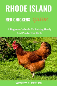 Rhode Island Red Chickens Guide