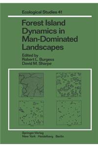 Forest Island Dynamics in Man-Dominated Landscapes