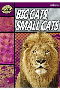 Rapid Reading: Big Cats Small Cats (Stage 1, Level 1A)