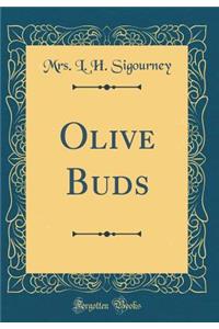 Olive Buds (Classic Reprint)