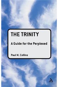 Trinity: A Guide for the Perplexed