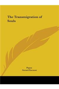 Transmigration of Souls