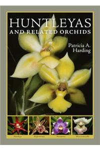 Huntleyas and Related Orchids