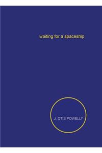Waiting for a Spaceship