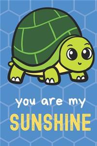 You Are My Sunshine