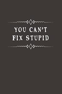 You Can't Fix Stupid