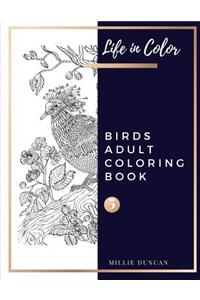 BIRDS ADULT COLORING BOOK (Book 5)