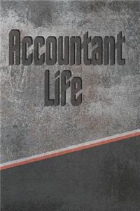 Accountant Life