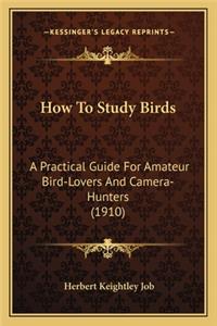 How to Study Birds