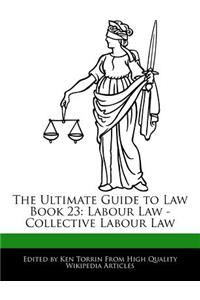 The Ultimate Guide to Law Book 23