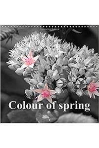 Colour of Spring 2017