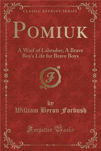 Pomiuk: A Waif of Labrador; A Brave Boy's Life for Brave Boys (Classic Reprint)