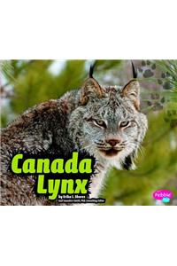 Canada Lynx