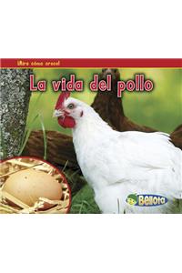 La Vida del Pollo