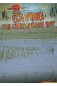 Saving the Chesapeake Bay