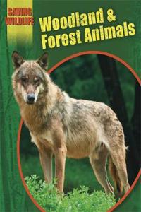 Saving Wildlife: Woodland and Forest Animals