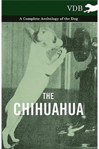 The Chihuahua - A Complete Anthology of the Dog -