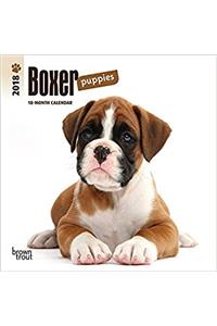 Boxer Puppies 2018 Mini Wall Calendar
