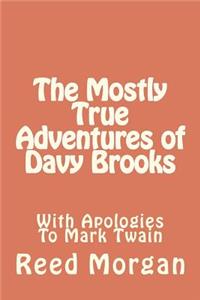 Mostly True Adventures of Davy Brooks