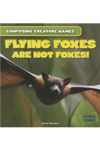 Flying Foxes Are Not Foxes!