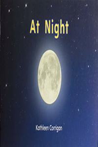 Myview Literacy 2020 Leveled Reader Grade K: At Night