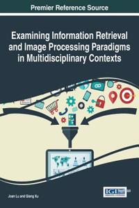 Examining Information Retrieval and Image Processing Paradigms in Multidisciplinary Contexts