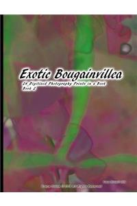 Exotic Bougainvillea 24 Digitized Photography Prints in a Book Book 2