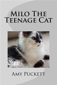 Milo The Teenage Cat