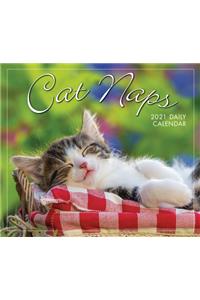 2021 Cat Naps Boxed Daily Calendar