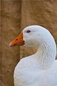 Portrait of a White Goose Animal Journal