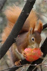 Snacking Squirrel Animal Journal