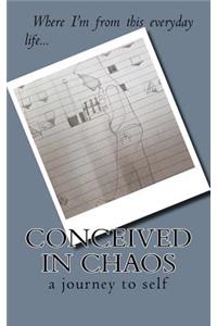 Conceived in Chaos