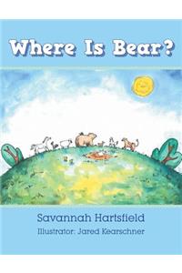 Where Is Bear?