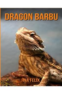 Dragon Barbu