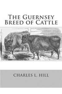 Guernsey Breed of Cattle