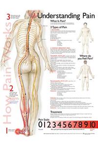 Understanding Pain Anatomical Chart