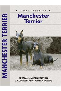 Manchester Terrier