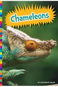 Chameleons