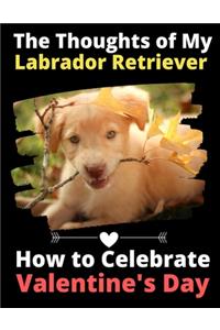 Thoughts of My Labrador Retriever: How to Celebrate Valentine's Day