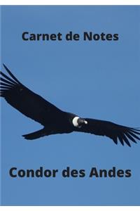 Carnet de Notes Condor des Andes
