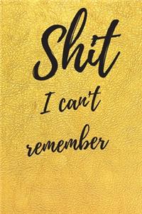 Shit I Can't Remember