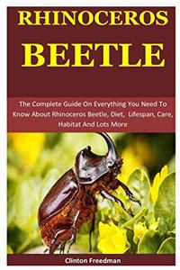 Rhinoceros Beetle
