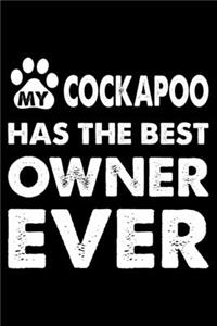 My Cockapoo Has The Best Owner Ever