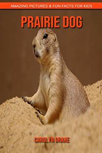 Prairie Dog