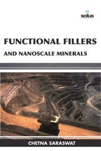 Functional Fillers and Nanoscale Minerals