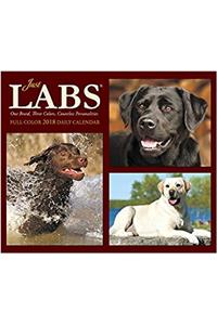 Just Labs 2018 Box Calendar (Dog Breed Calendar)