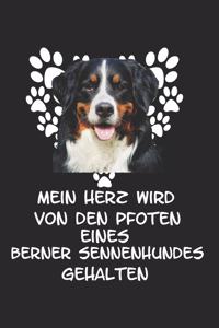 Mein Herz wird von den Pfoten eines Berner Sennenhund gehalten
