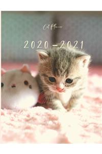 2020-2021 2 Year Planner Kitten Cat Monthly Calendar Goals Agenda Schedule Organizer