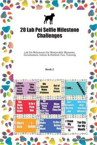 20 Lab Pei Selfie Milestone Challenges